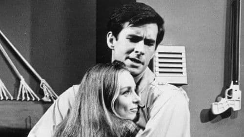 Evening Primrose Bild 1