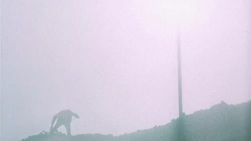 Der Museumsbesucher Bild 6