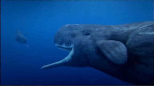 Deep Ocean - Gnadenlose Tiefe Bild 1