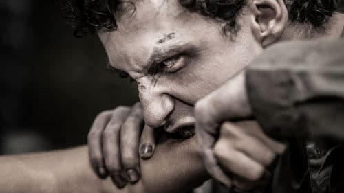 The Last Zombie Bild 3