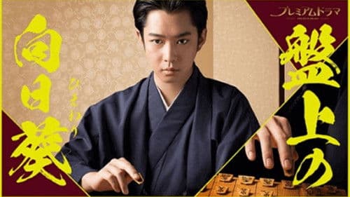 盤上の向日葵 Bild 1