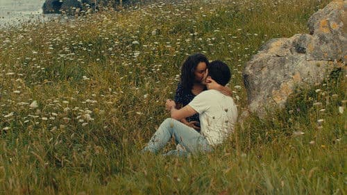 Ein Sommer zu Hause Bild 1