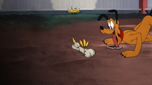 Der Knochendieb Bild 3