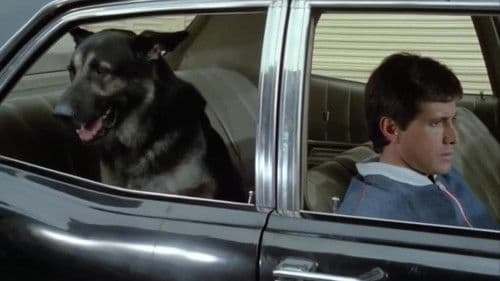 El cumpleaños del perro Bild 1