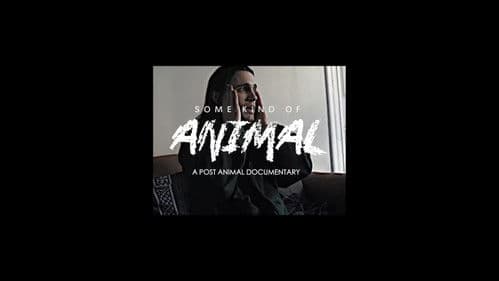 SOME KIND OF ANIMAL: A Post Animal Documentary Bild 2