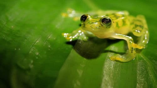 Zwischen Zwei Ozeanen Bild 2