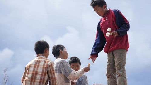 月光里的男孩 Bild 4