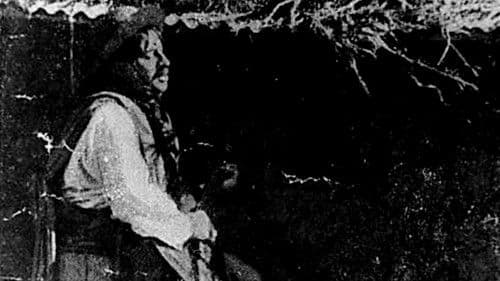 Nobleza gaucha Bild 2