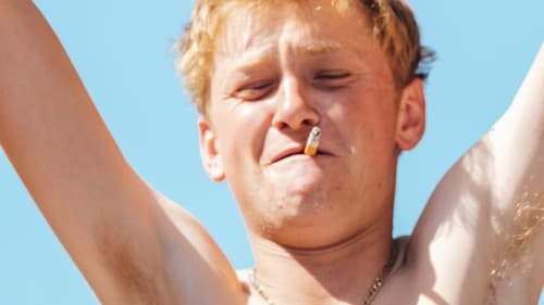 Könige des Sommers Bild 3