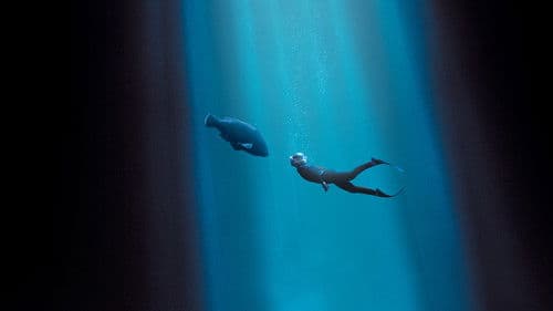 Blueback - Eine tiefe Freundschaft Bild 3