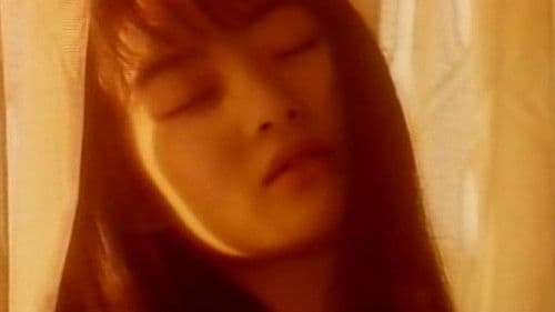 Meet Me in the Dream: Wonderland Bild 3