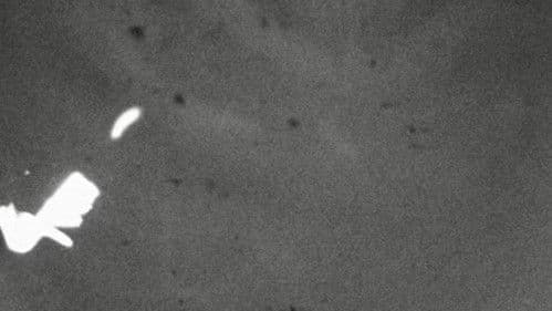 плакать при свете (cry in the light) Bild 3