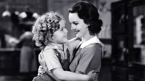 Lockenköpfchen Bild 2