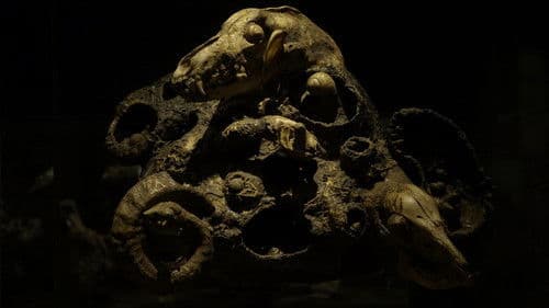 Alchymická pec Bild 1