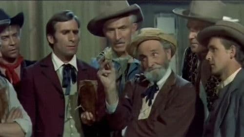 Die Goldsucher von Arkansas Bild 1