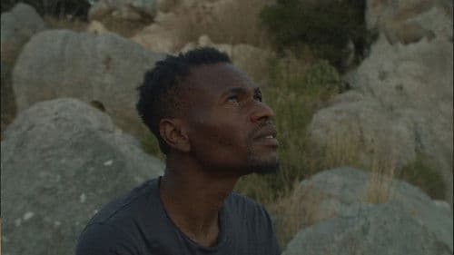 Palermo Sole Nero Bild 2