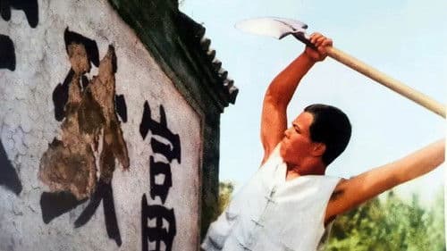 金光大道（上集） Bild 1