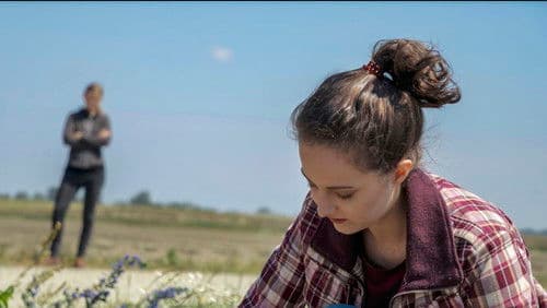 Winterzwiebeln im Sommer Bild 3