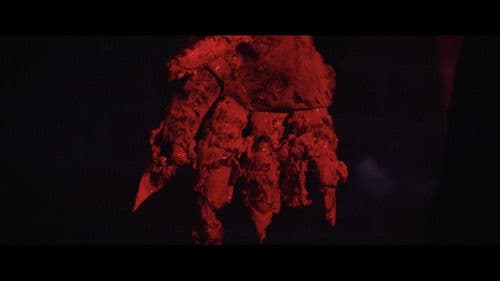 The Five Fingers of a Dog Bild 6