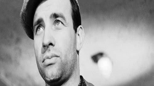 Wolf unter Wölfen Bild 1