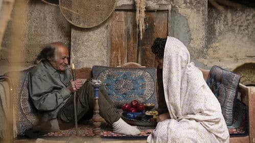 دون کیشوت Bild 2