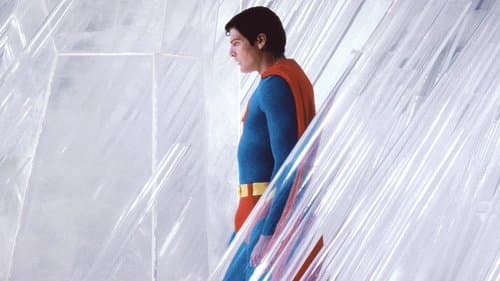 Superman II - Richard Donner Cut Bild 3