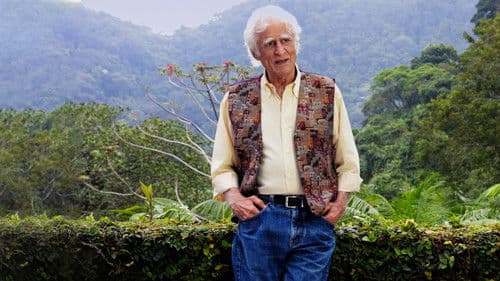 A Turma do Pererê.DOC Bild 7