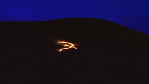 Paloma de papel Bild 3