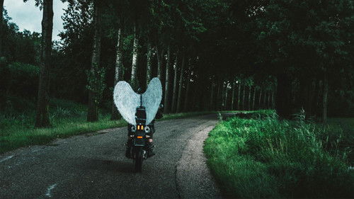 Grijs is ook een kleur Bild 1