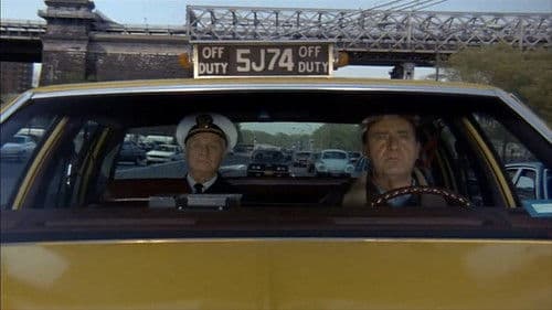 Un tassinaro a New York Bild 3