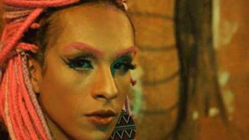 Abrindo o Armário Bild 2