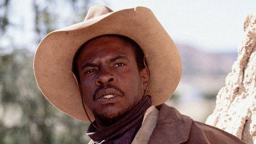 The Last Outlaw Bild 4