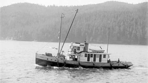 An Aleutian Adventure Bild 2