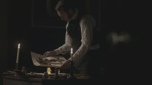 Die Abenteuer des Robert Fortune - Wie ein Mann den Chinesen ihren Tee klaute Bild 6