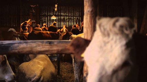 LaBrassBanda: Kiah Royal Bild 3