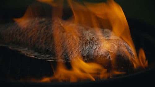 FOUR ARMS, FOUR LEGS AND TWO FACES Bild 1