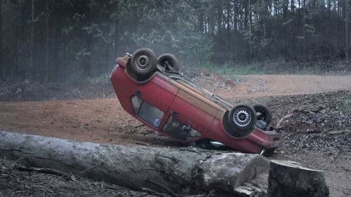 Wolwedans In Die Skemer Bild 1