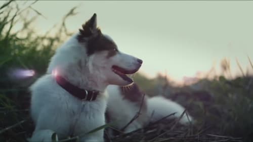 มะหมา 2 Bild 3