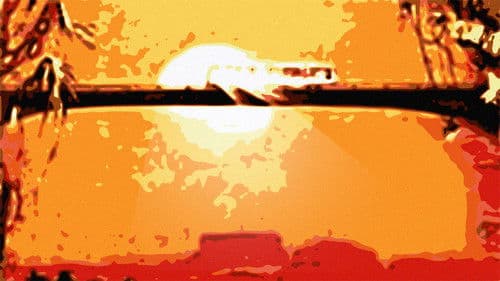 Laggiù nella giungla Bild 1