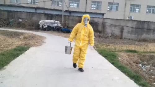 Heterogeneous Bild 1