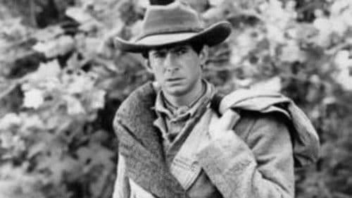 The Fool Killer Bild 5