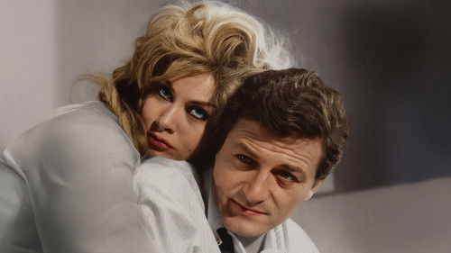 Dişi Örümcek Bild 1