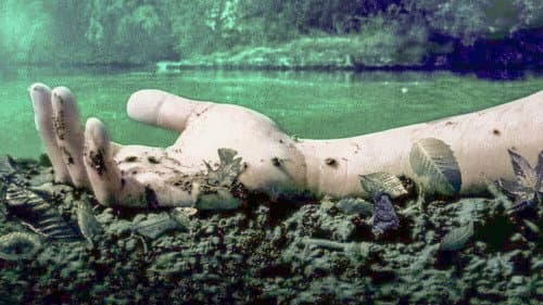Mean Creek Bild 3