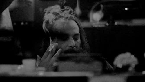 Sébastien Tellier: Many Lives Bild 3