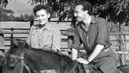 La sua strada Bild 5