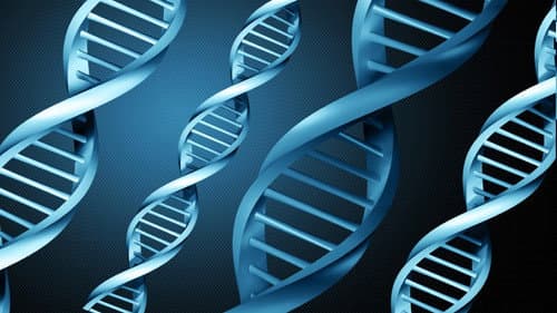 DNA Bild 1