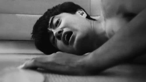 A Garden Without Birds Bild 2