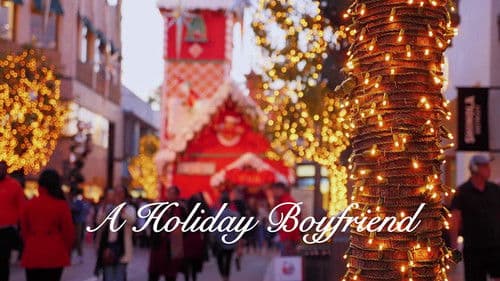 A Holiday Boyfriend Bild 5