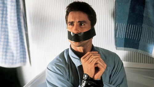 Committed - Einmal 7. Himmel und zurück Bild 5