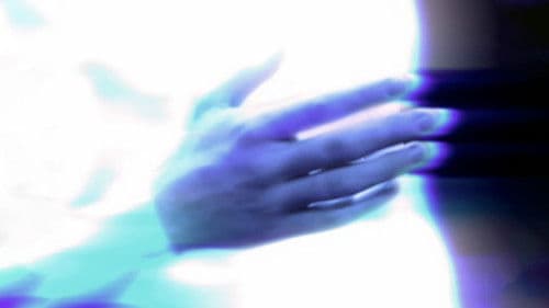 Corpora Vilia Bild 1